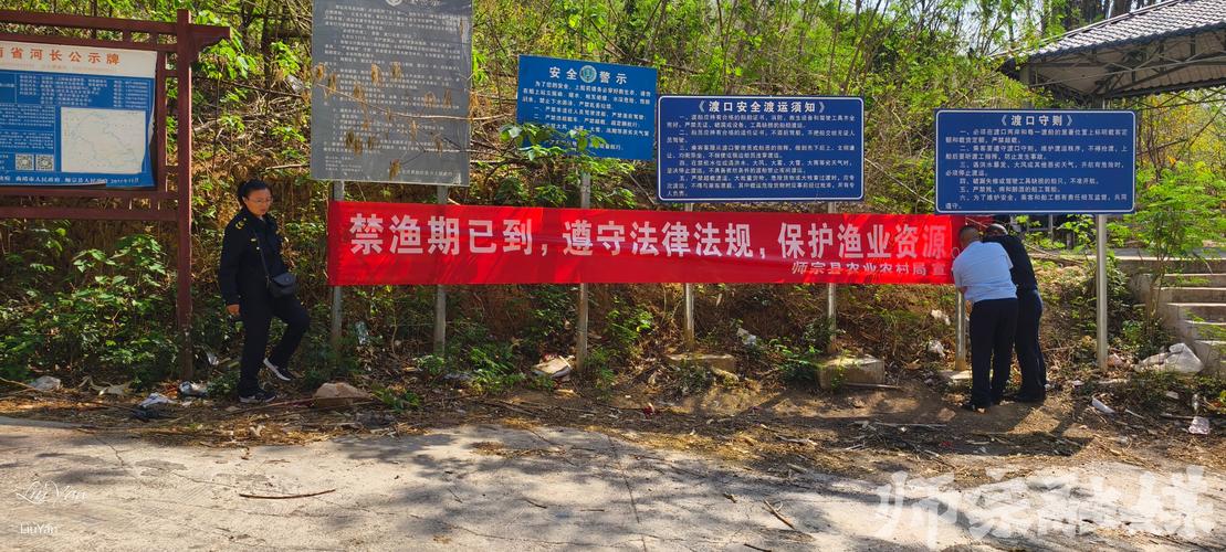 满园丰苗木